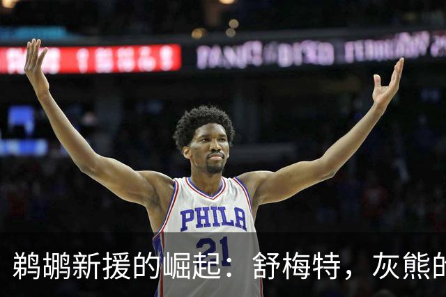 鹈鹕新援的崛起：舒梅特，灰熊的水下潜伏者！